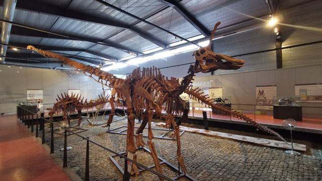 Musee des Dinosaures 'Dinosauria'