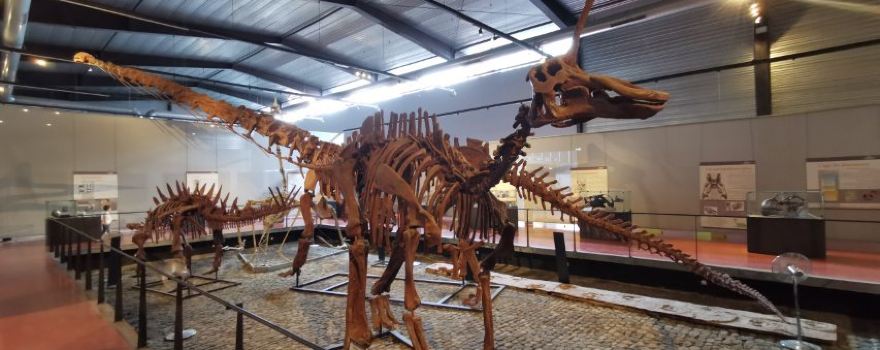 Musee des Dinosaures 'Dinosauria'