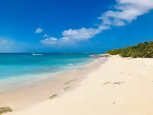 Cayo ICACOS