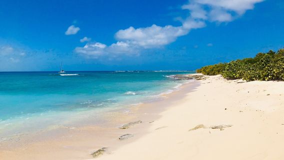 Cayo ICACOS