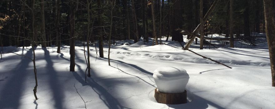 Catamount Outdoor Family Center