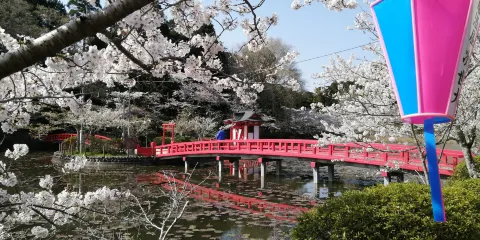 茂原公園