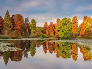 Bedgebury National Pinetum and Forest