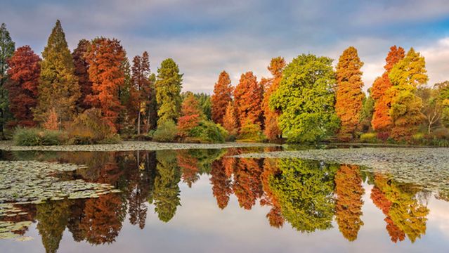 Bedgebury National Pinetum and Forest