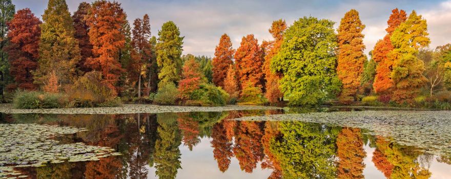 Bedgebury National Pinetum and Forest