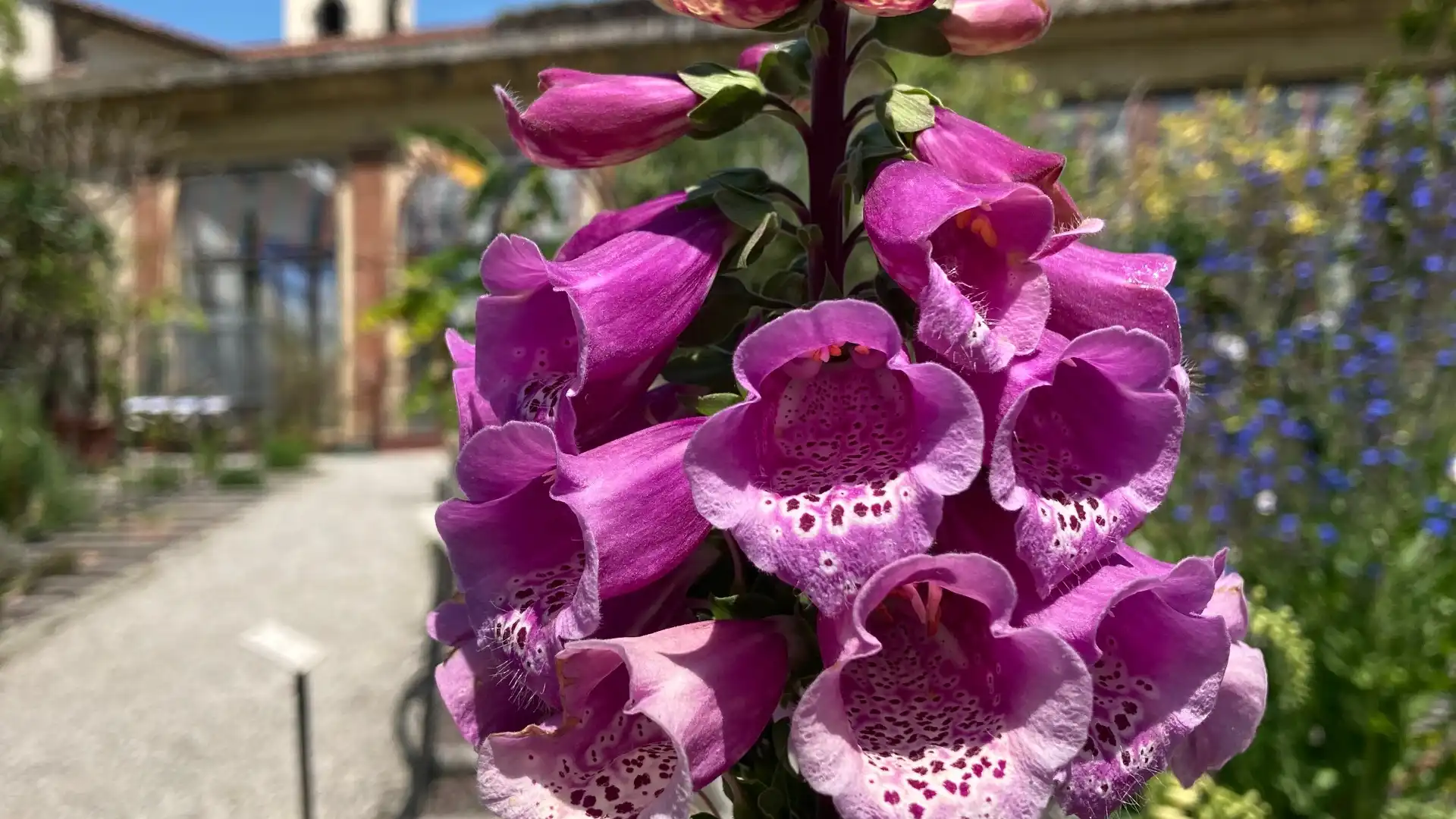 Hotels near Orto Botanico