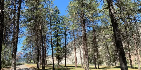 Skihist Provincial Park