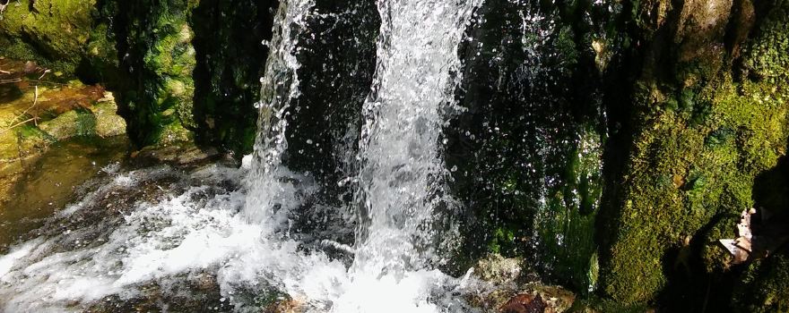 Ruta dels Molins Fariners