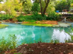Parco del Lavino