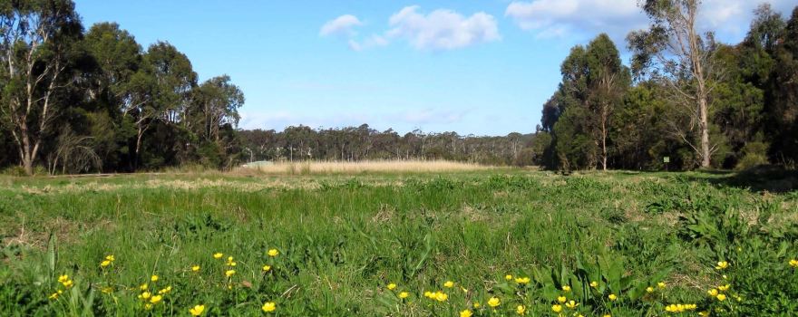 Panboola Wetlands