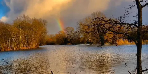 Broadlands Lakes Coarse Fishery