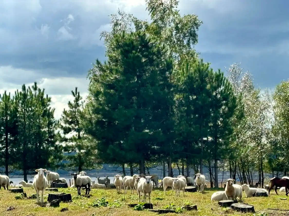 Hotels near Mechelse Heide