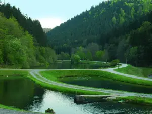 Forellenpark Kleinenztal