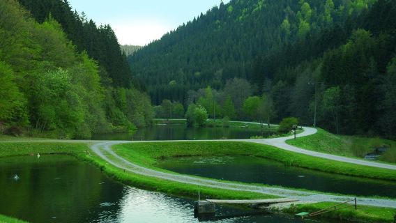 Forellenpark Kleinenztal