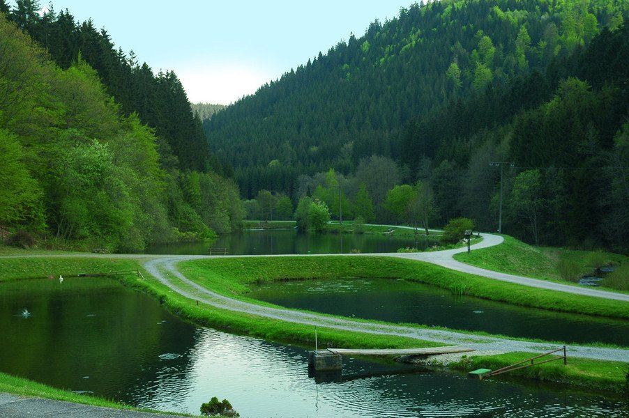 Forellenpark Kleinenztal