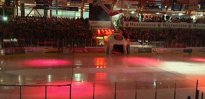 Kunsteisstadion Crimmitschau im Sahnpark