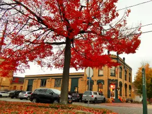 Four Mile Brewing, LLC