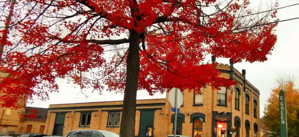 Hampton by Hilton Properties in Olean