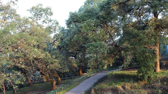Garhwali Mess