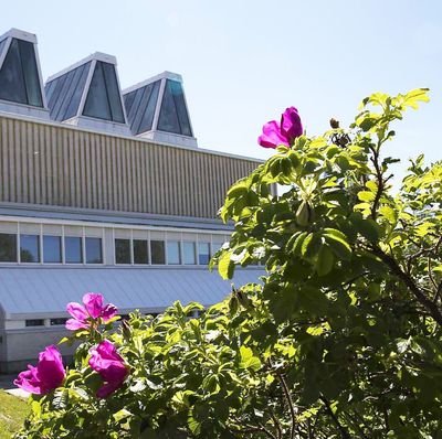 Aine Art Museum