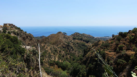 Savoca