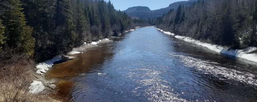 Black Sturgeon River Provincial Park