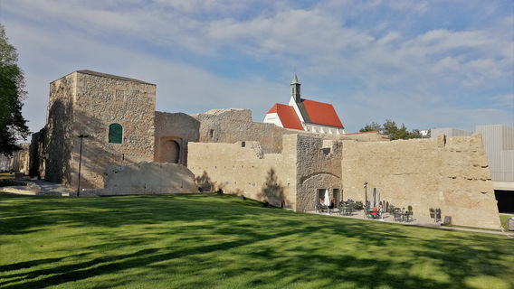Stadtpark Wiener Neustadt
