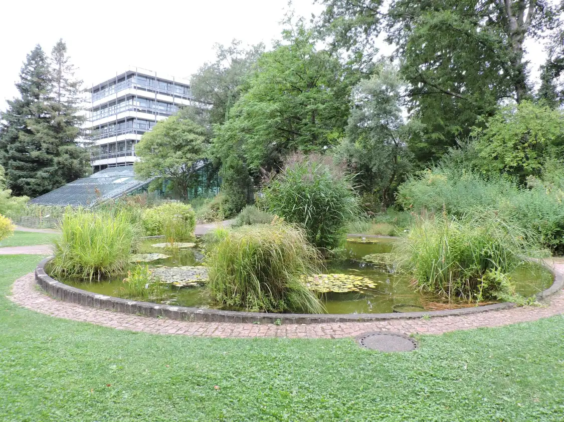 Hotel in zona Freiburg Botanical Garden