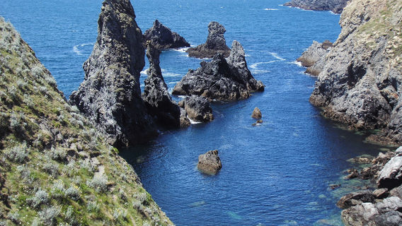 LOCATOUISLE Location Voiture