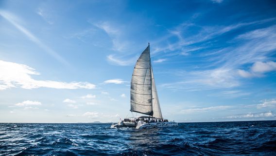 BlueFinn Charters Curacao