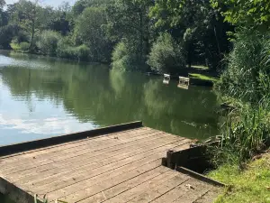 Weston Pools