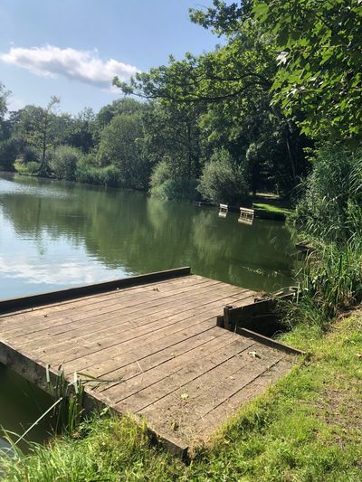 Weston Pools Fishery