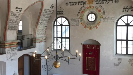 Rear Synagogue - Zadni Synagogue