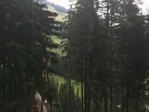 Hochseilpark