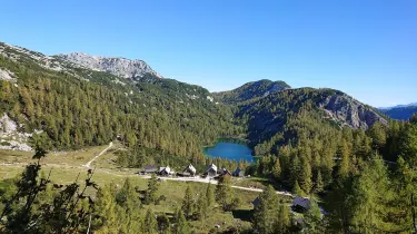 Tauplitzalm