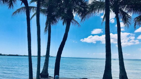 Bird Key Park