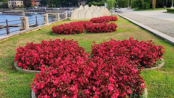 Baveno
