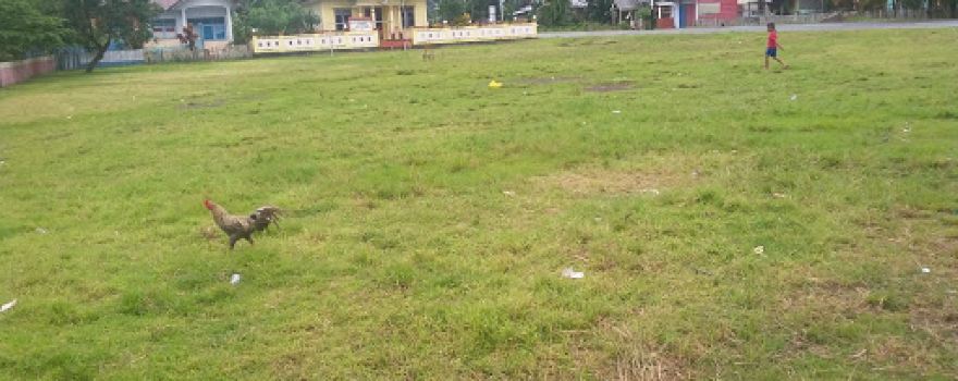 Lapangan Desa Fanaha