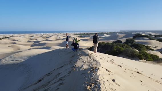 Addo Cruises & Sand Sledding