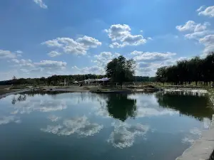 Ferma La Țară
