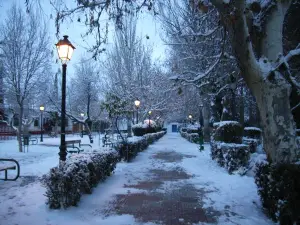 Municipal Park