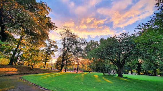 Rhyddings Park