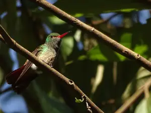 Naha Ecoturismo