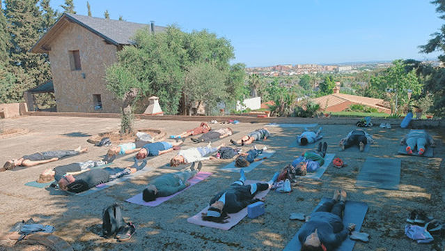 hacia la quietud YOGA y MEDITACIÓN