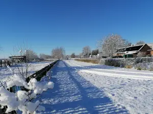 Stellplatz am alten Bahnhof