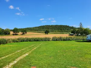 Camping Pielenhofen"