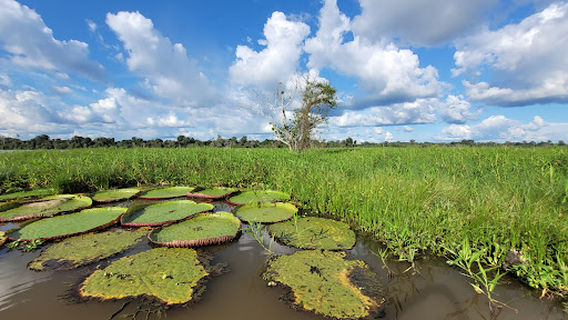 AMAZON ADVENTURE EXPRESS
