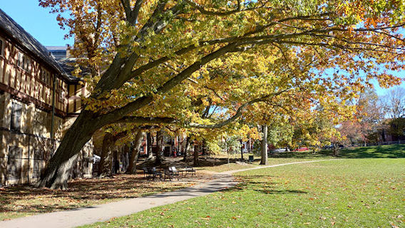 Jean B. Waldstein Playground