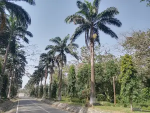 Cocoa Research Institute Ghana (CRIG) Recreation Centre