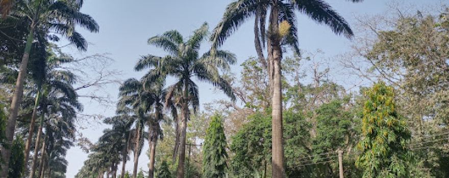 Cocoa Research Institute Ghana (CRIG) Recreation Centre